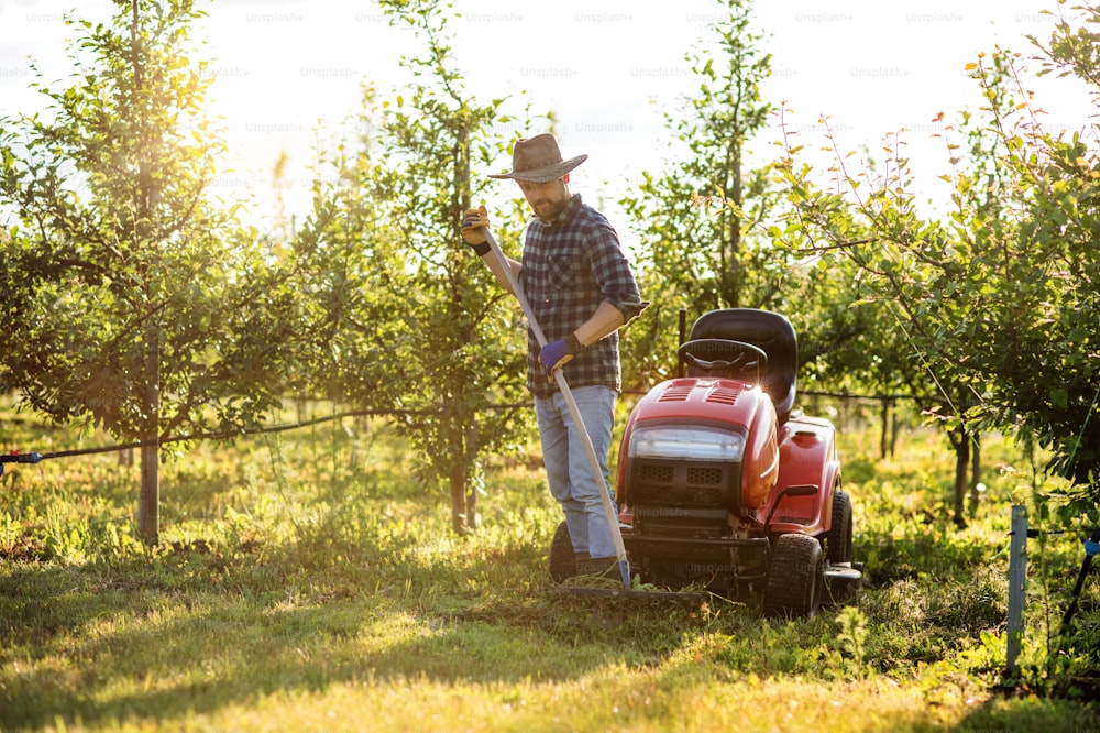 A mature farmer with hat working in orchard at sunset. Copy space.