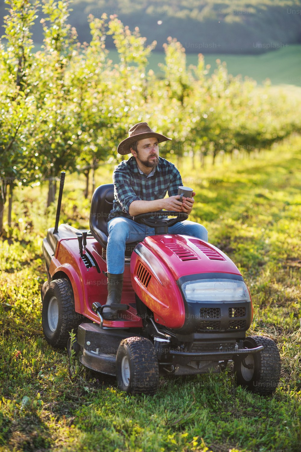 Une vue de face d’un agriculteur mature avec une tasse de café et un tracteur à l’extérieur dans un verger, au repos.