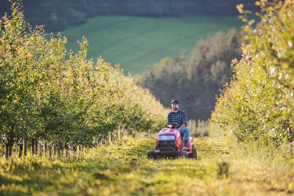 A front view of mature farmer driving mini tractor outdoors in orchard.