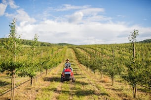 A front view of mature farmer driving mini tractor outdoors in orchard.