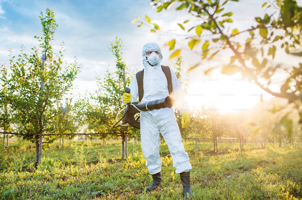 A farmer in protective suit walking outdoors in orchard at sunset, using pesticide chemicals.