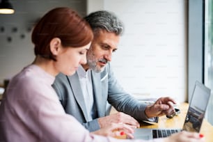 A man and woman having business meeting in a cafe, using laptop.