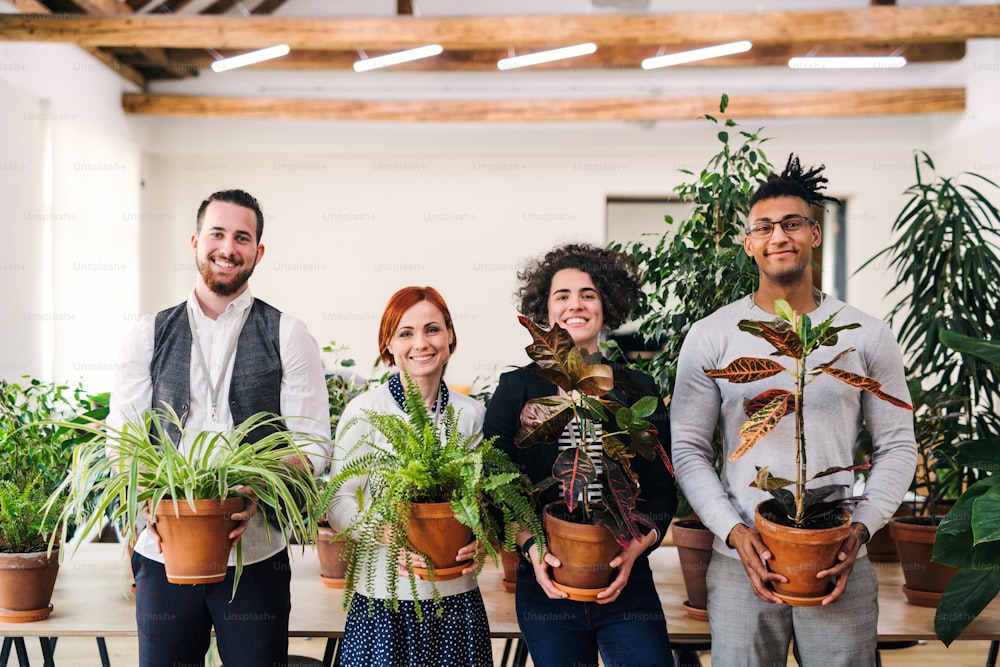 Group of young businesspeople standing in office, holding plants and looking at camera.