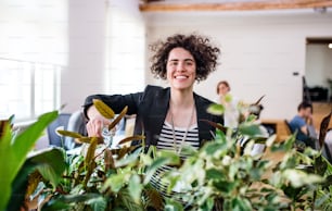 Una giovane donna che innaffia le piante in ufficio, start-up.
