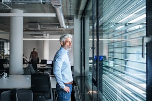 A portrait of mature businessman standing in an office, looking out of window.