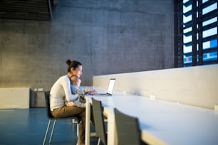 Eine Seitenansicht einer jungen studentischen Mutter oder Geschäftsfrau, die mit einem Baby in einem Zimmer in einer Bibliothek oder einem Büro mit einem Laptop auf einem Schreibtisch sitzt.