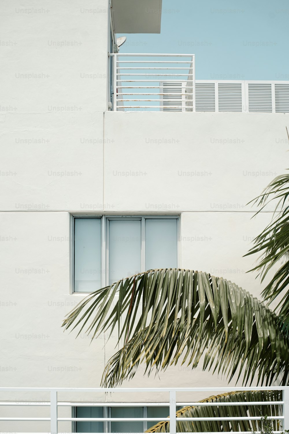 Un edificio blanco con una palmera frente a él