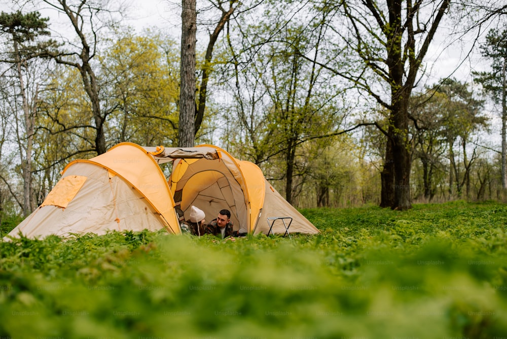 um homem sentado dentro de uma tenda em uma floresta