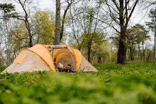 a man sitting inside of a tent in a forest