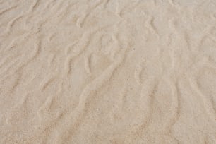 Una playa de arena con algunas huellas en la arena