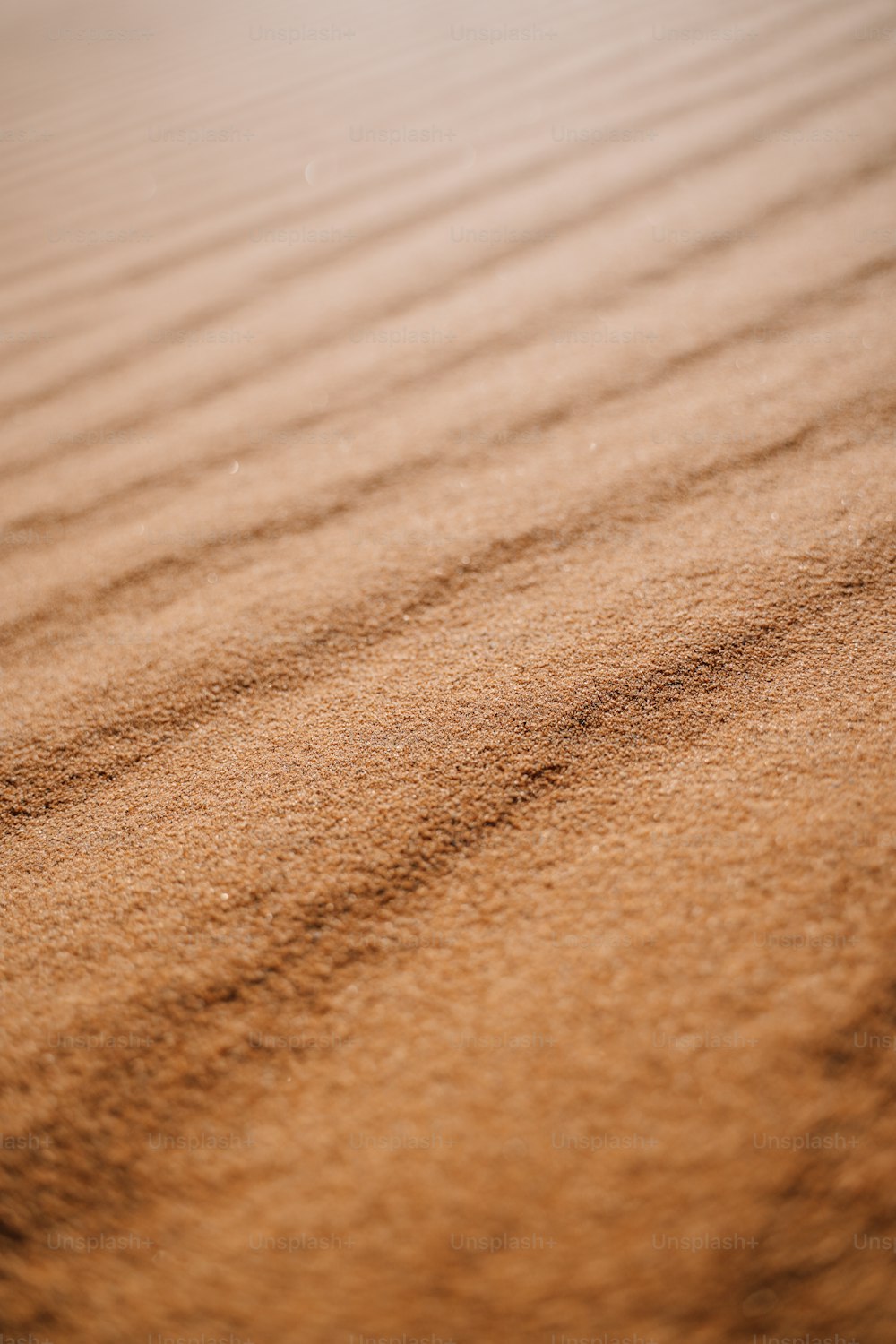 砂丘のぼやけた写真