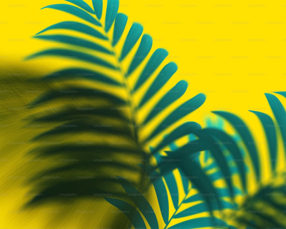 Ein verschwommenes Bild eines Palmblatts auf gelbem Hintergrund