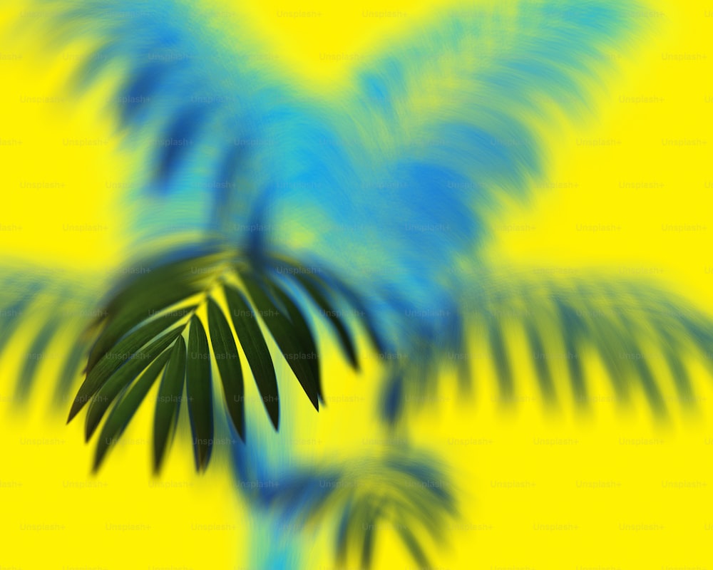 a blurry palm tree is shown against a yellow background