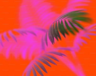 Una imagen borrosa de dos palmeras sobre un fondo naranja