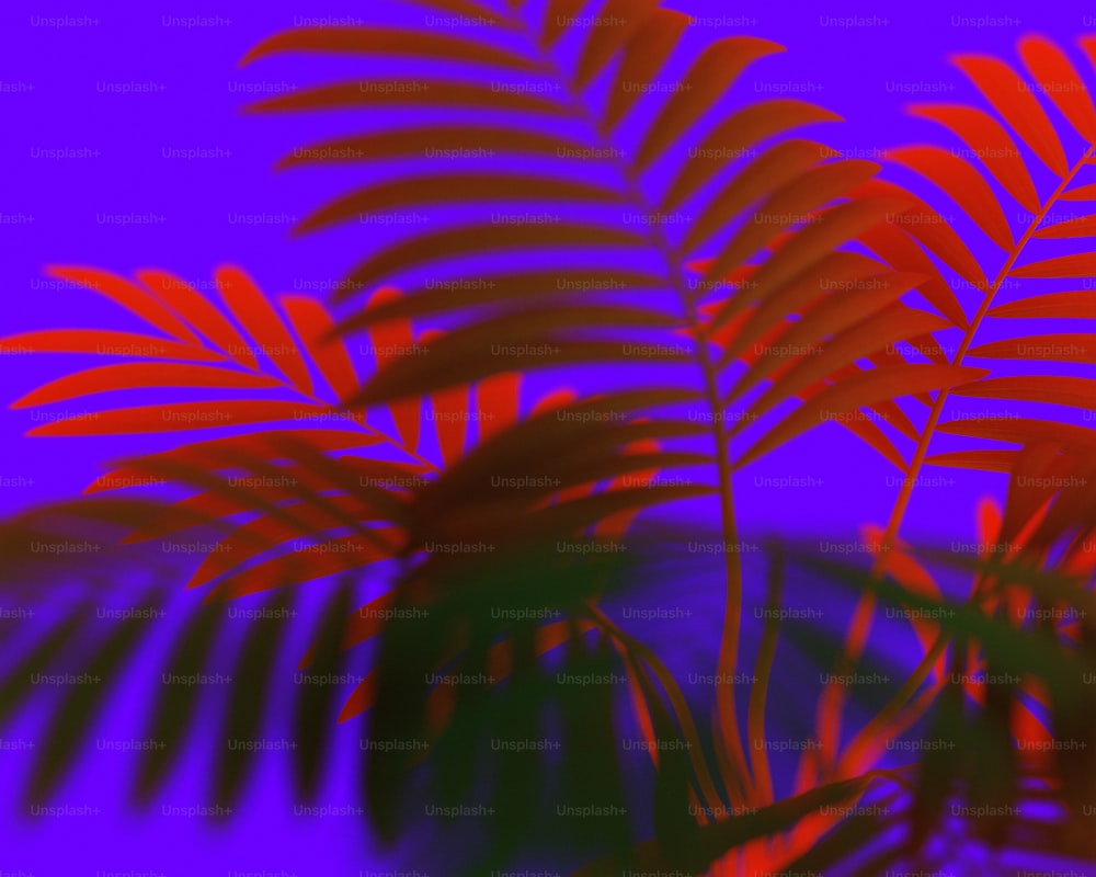 a close up of a palm tree with a purple background