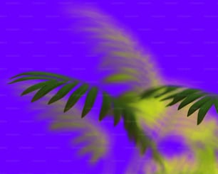 a blurry image of a green leaf on a purple background