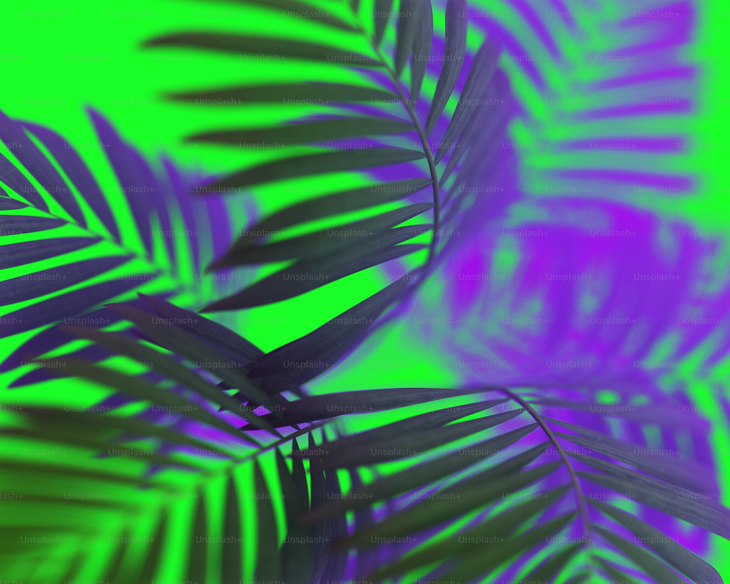 a close up of a palm leaf on a green background