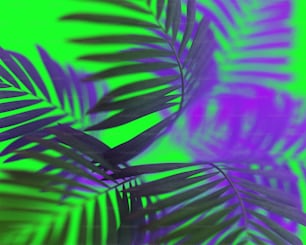 a close up of a palm leaf on a green background
