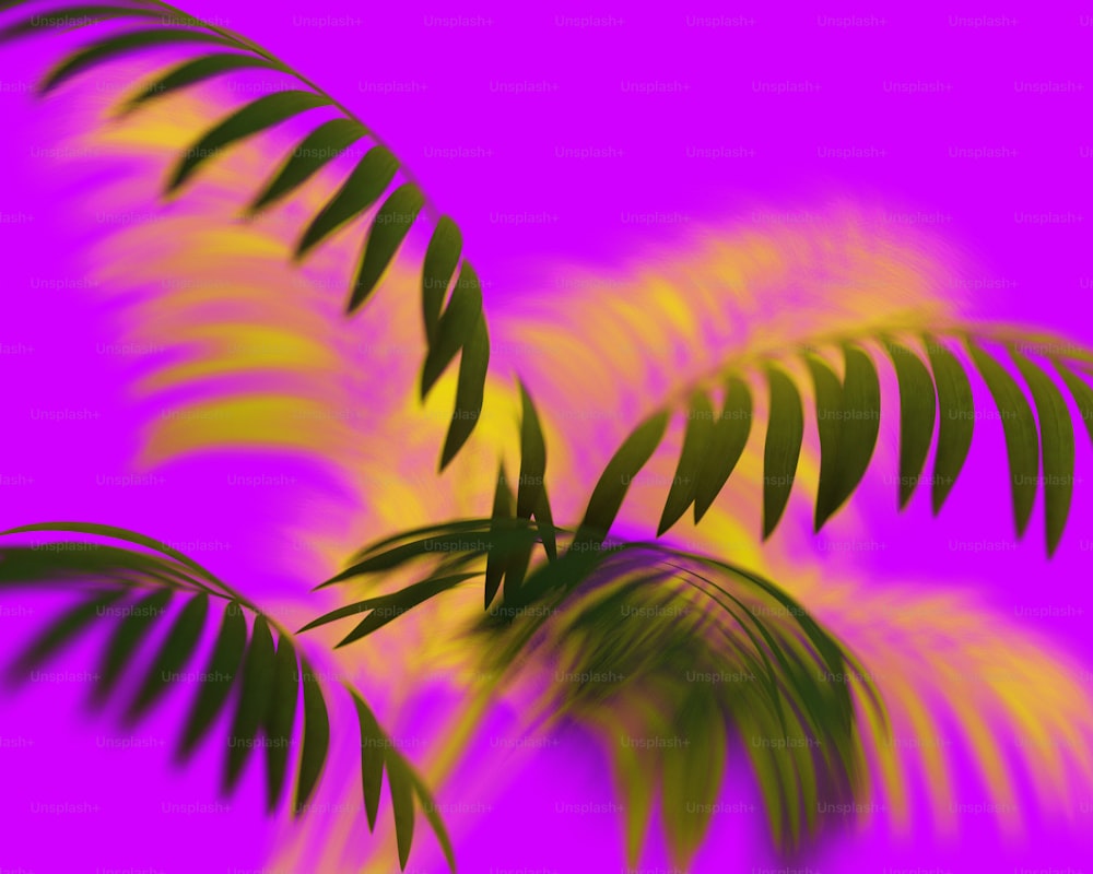 Un'immagine sfocata di foglie di palma