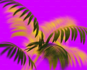 Una imagen borrosa de las hojas de una palmera