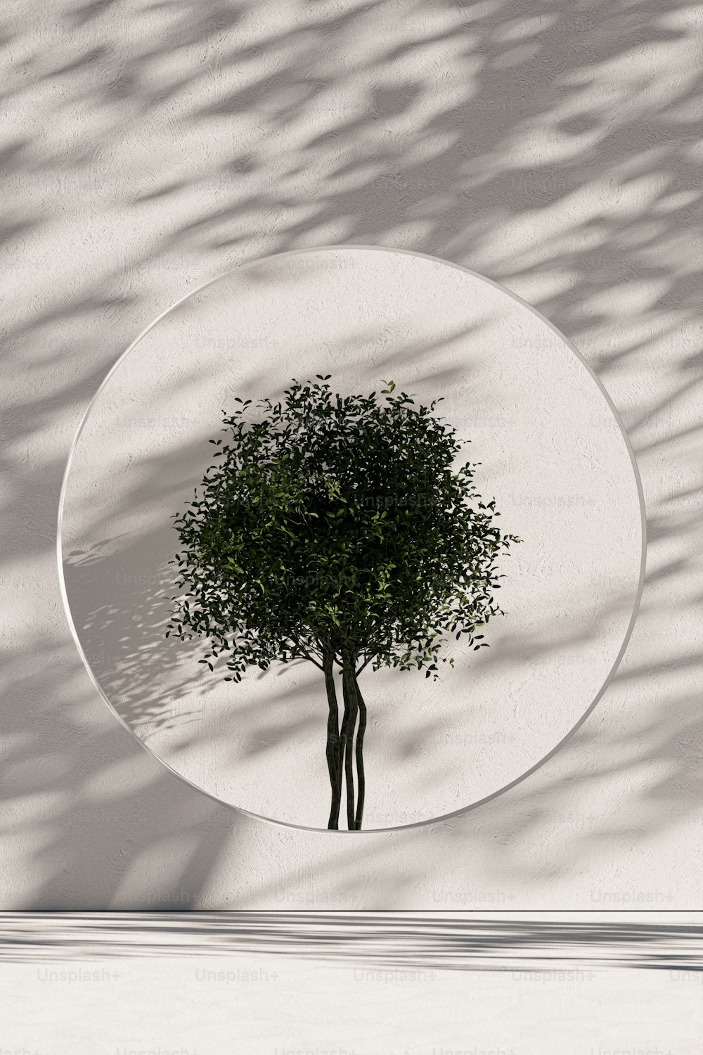 a white plate with a tree inside of it