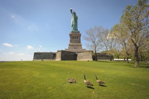 a group of geese standing in front of the statue of liberty