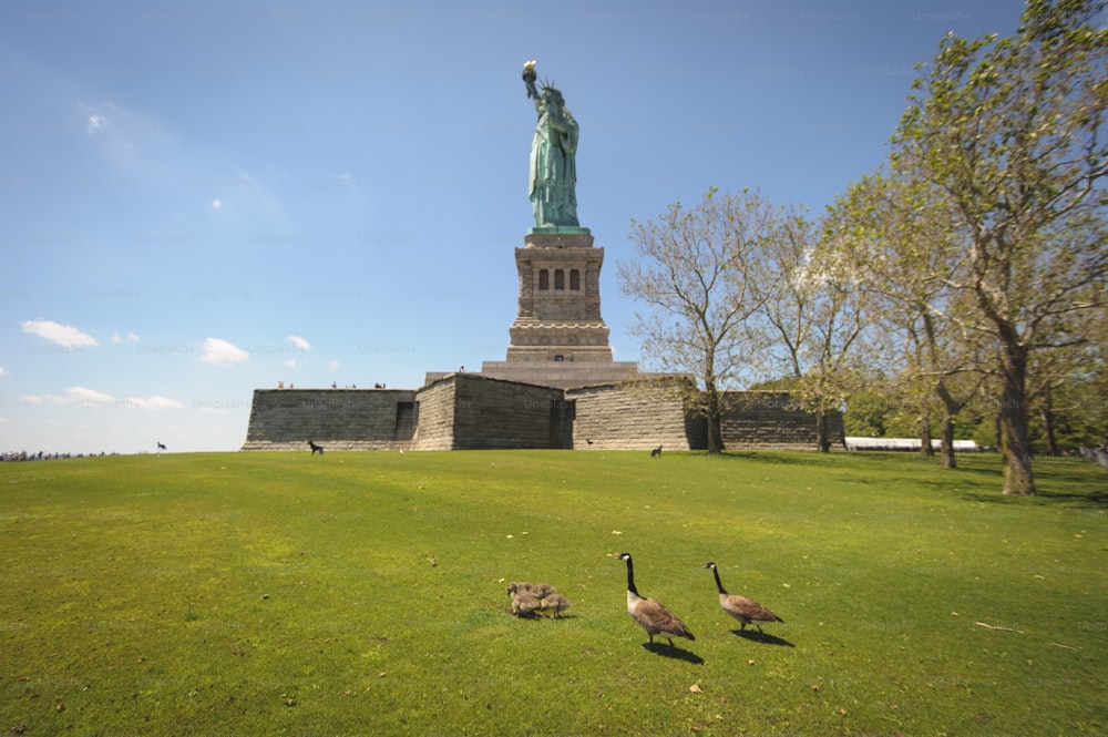 a group of geese standing in front of the statue of liberty
