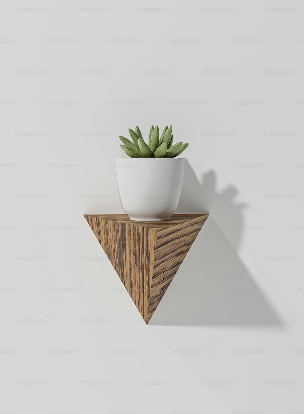 a white potted plant sitting on top of a wooden shelf