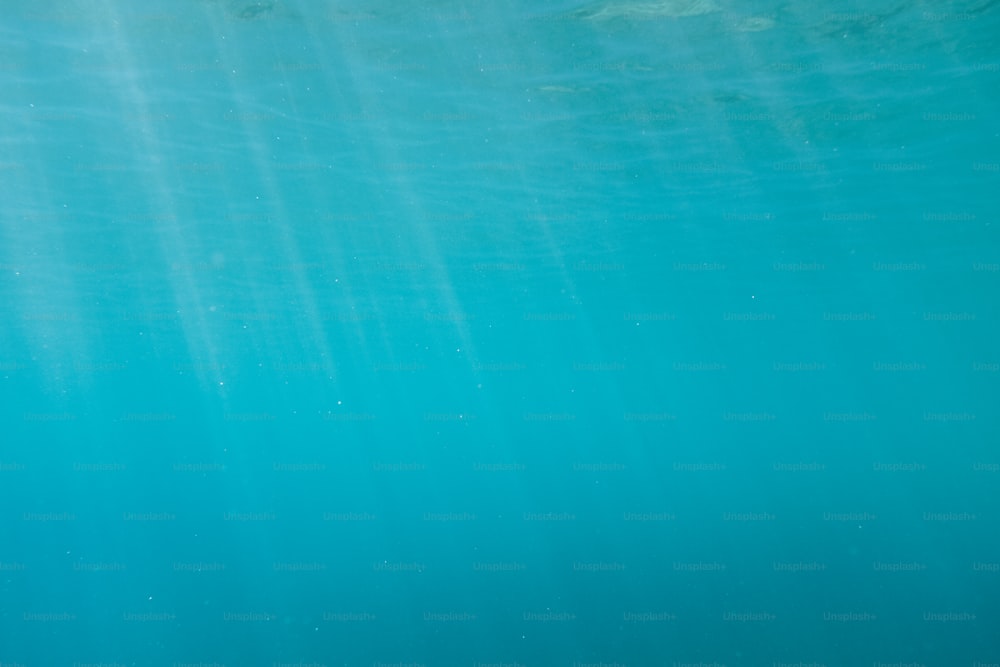 a man riding a surfboard under water