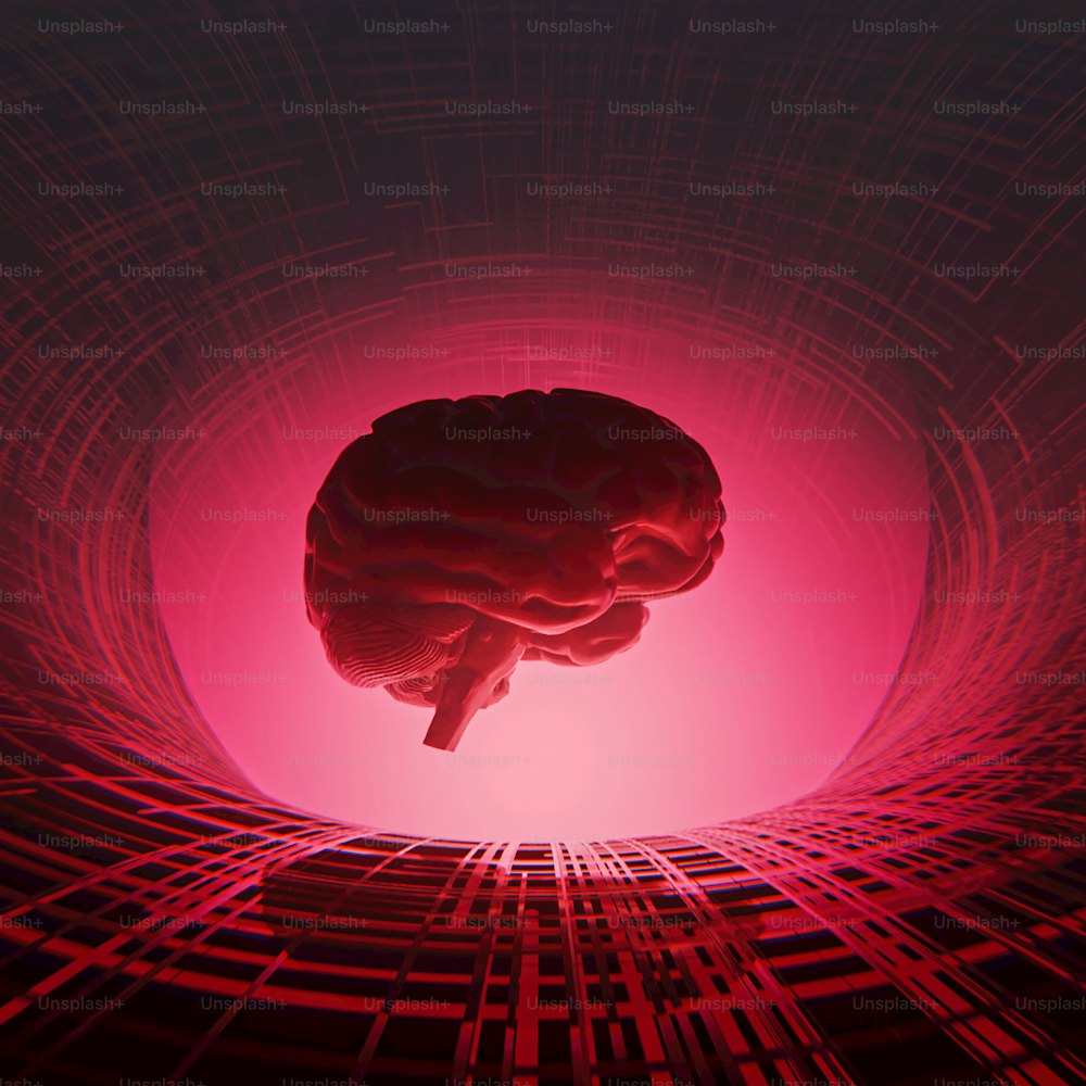 uma imagem gerada por computador de um cérebro humano