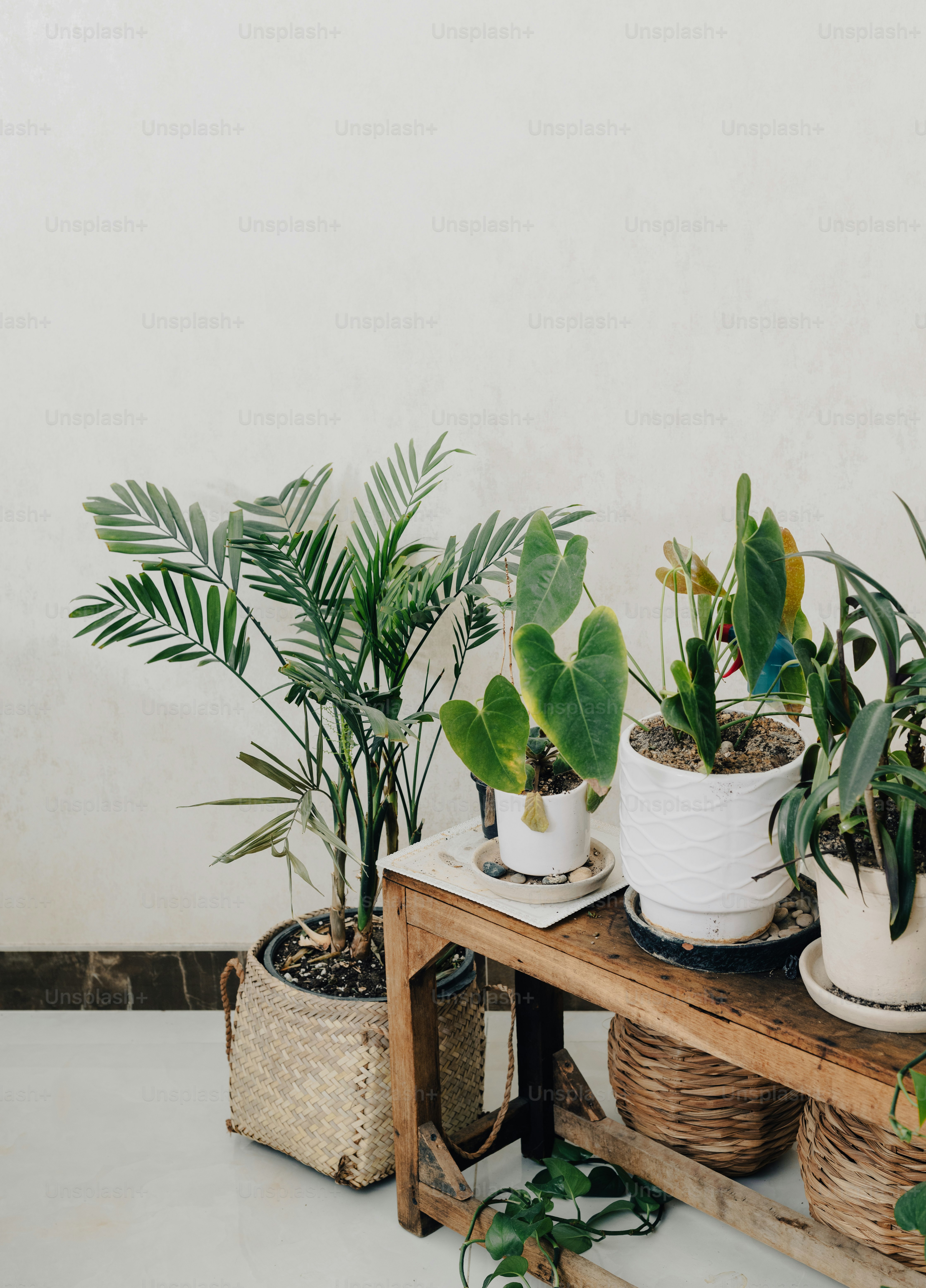 a wooden table topped with lots of potted plants