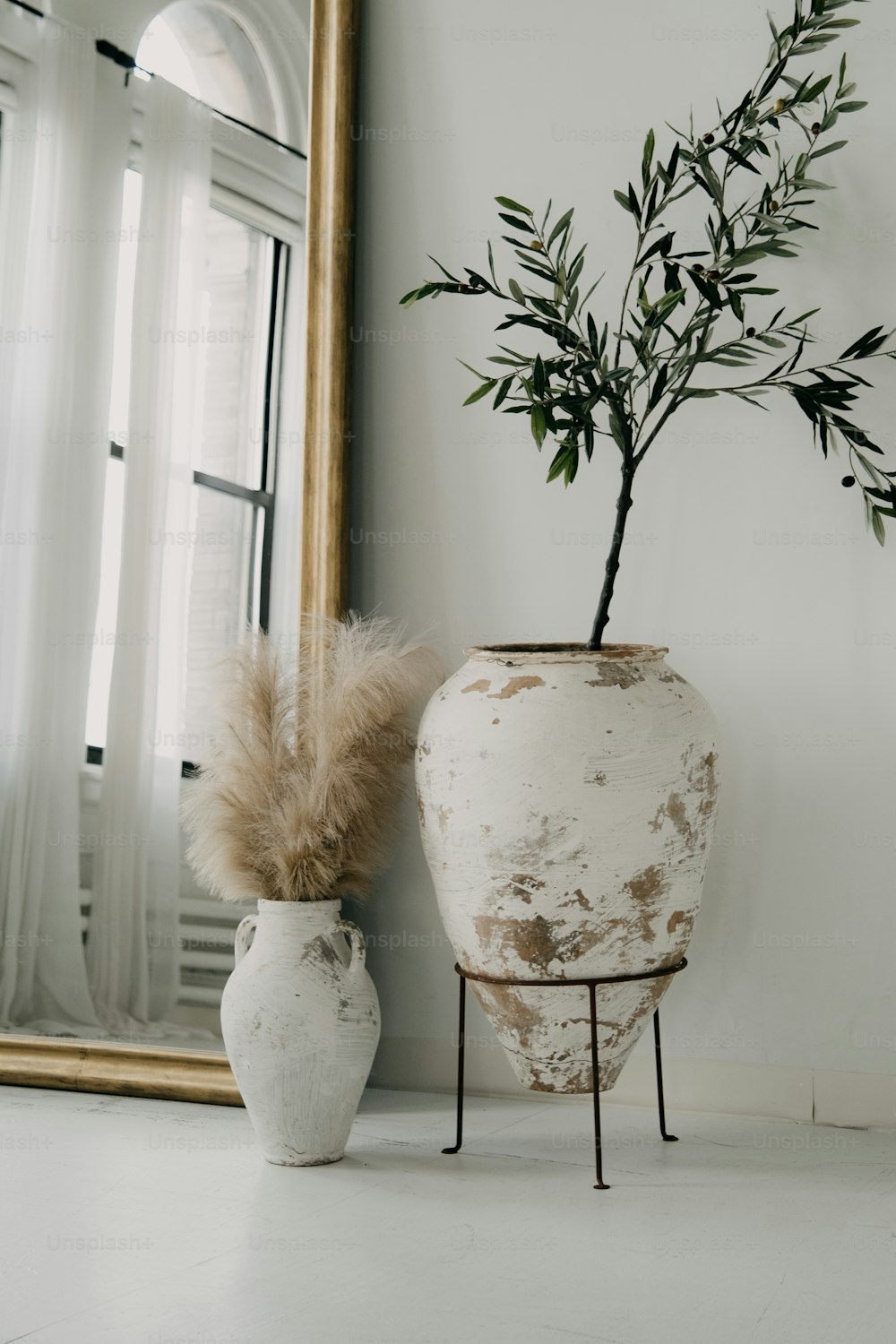 Una planta en maceta sentada junto a un espejo
