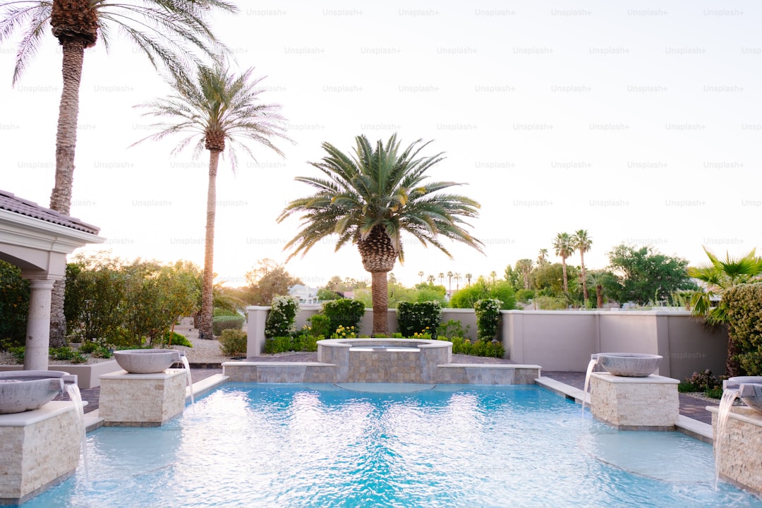 a swimming pool with lounge chairs and palm trees