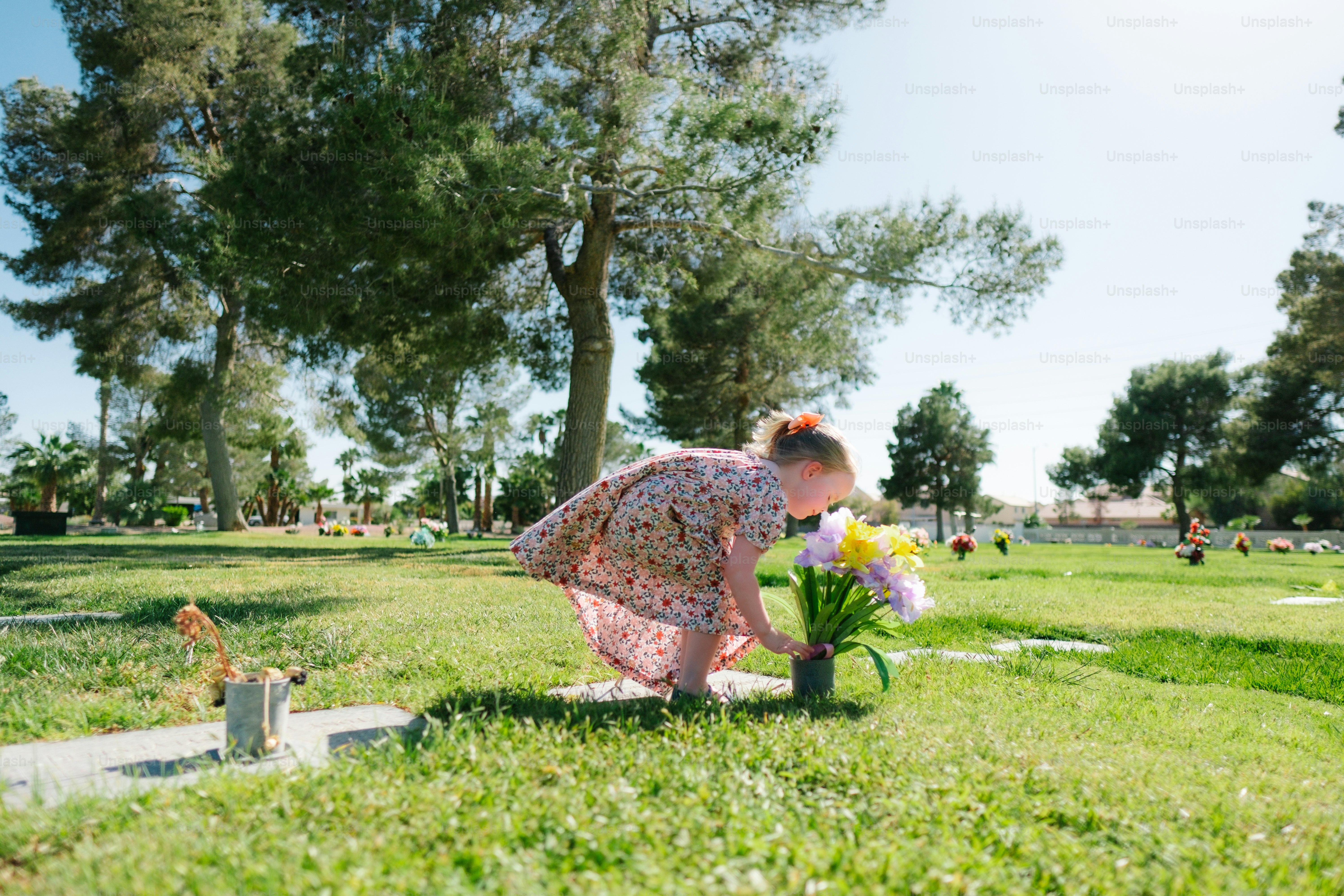 Eine Frau, die niederkniet, um Blumen ins Gras zu pflanzen