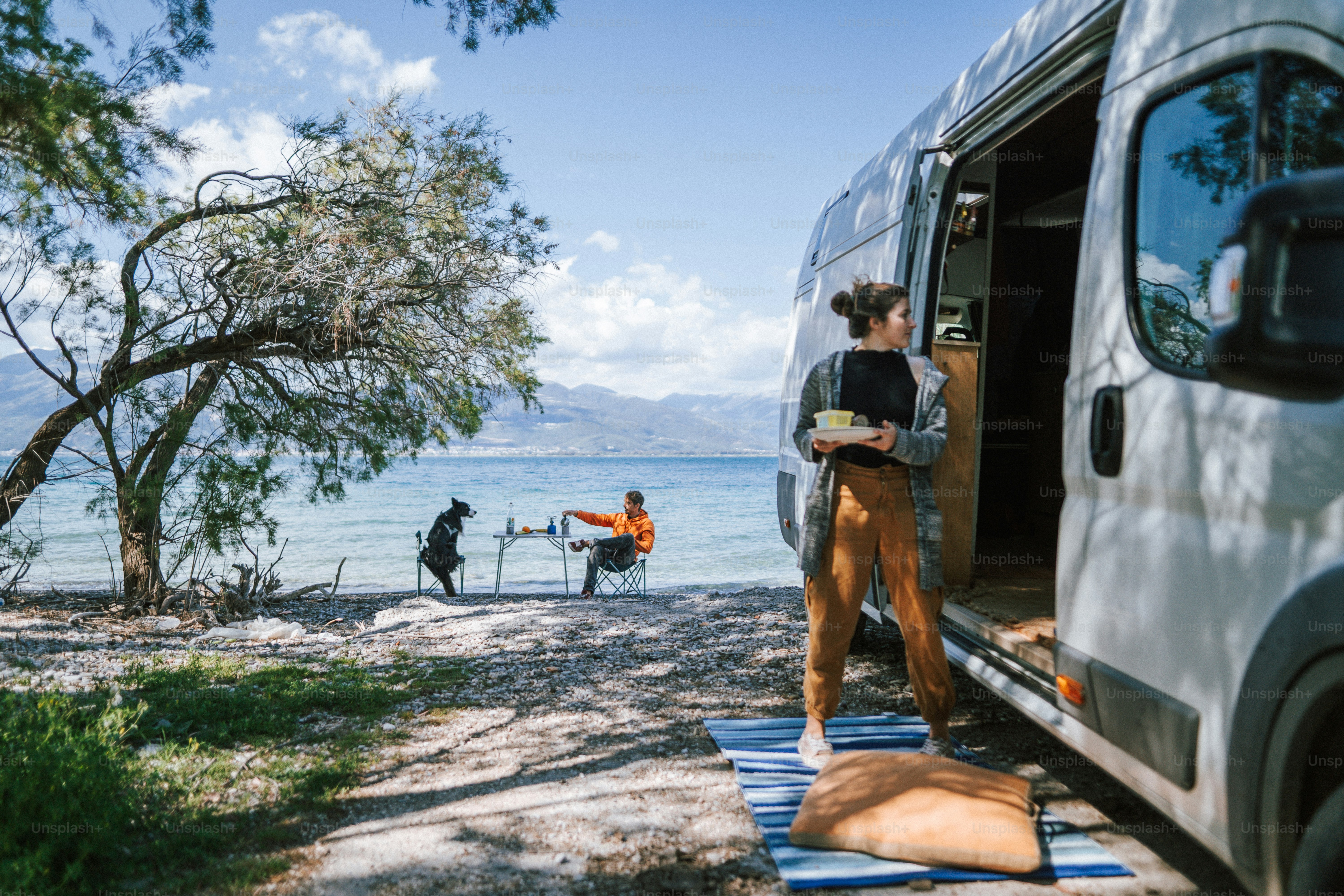 a woman standing next to a van on a beach
