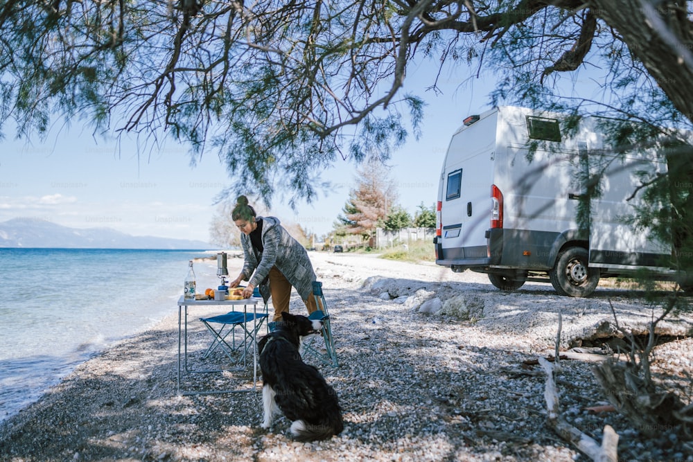 um homem ao lado de um cachorro em uma praia
