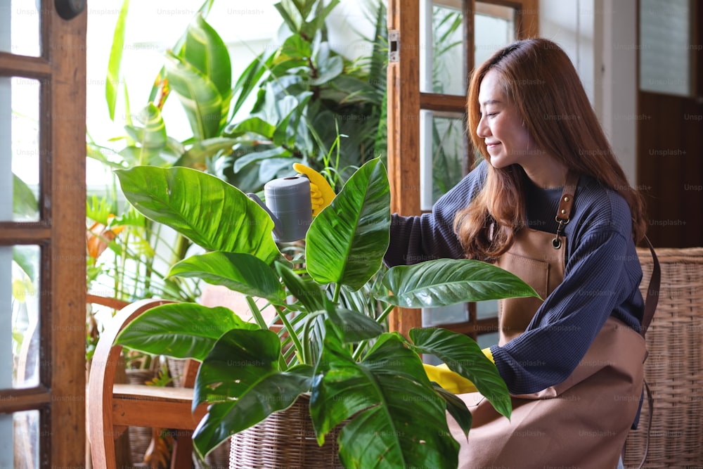 A beautiful young asian woman taking care and watering houseplants by watering can at home