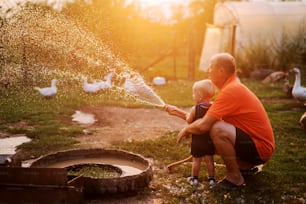 Grand-père et petit-fils jouant avec un tuyau d’arrosage dans la cour arrière d’une ferme d’animaux. S’amuser un jour d’été.