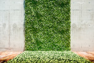 3D-Rendering des grünen, frischen vertikalen Gartens und der Betonmauer