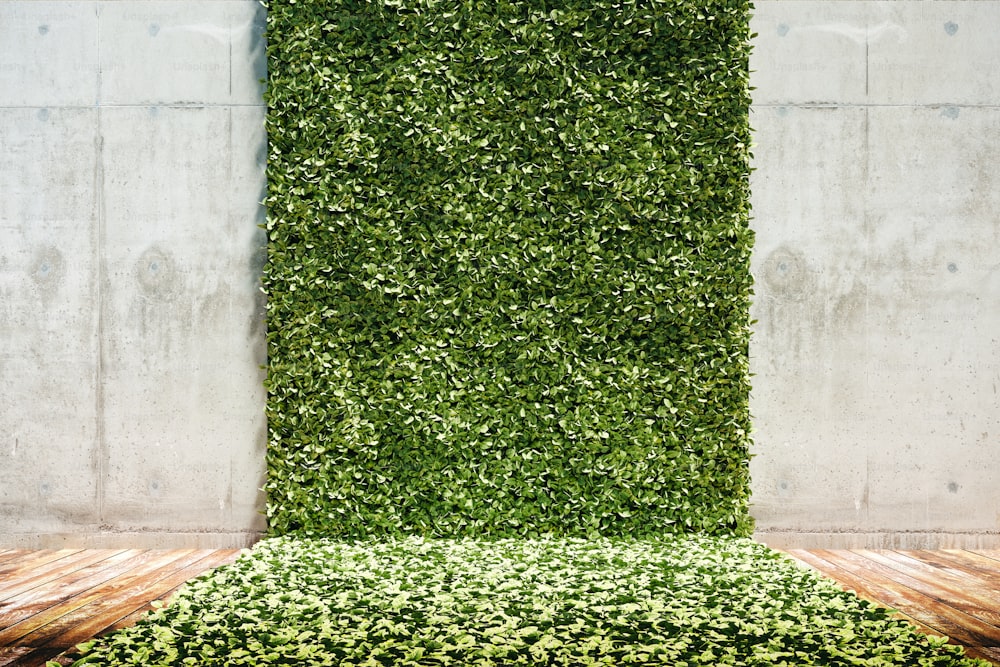 Render 3D de jardín vertical verde fresco y pared de hormigón