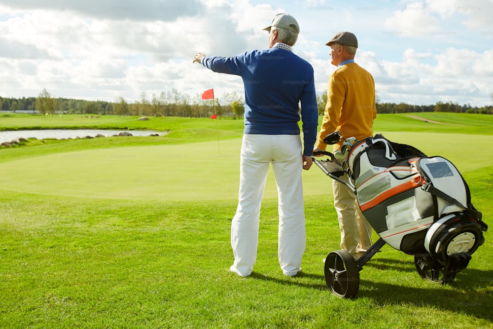 Vista trasera de dos hombres amigables en ropa casual discutiendo nueva área de golf en un entorno natural