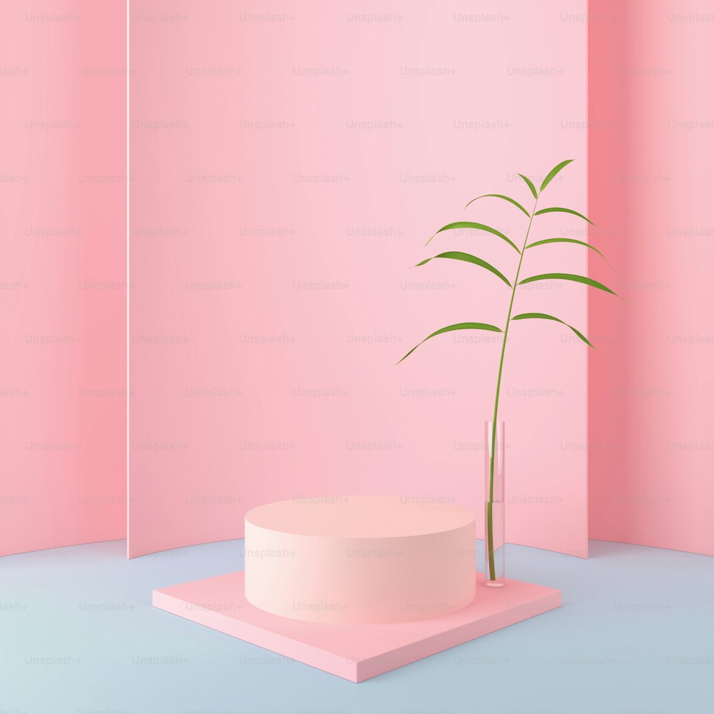 fundo abstrato da forma geométrica rosa, maquete minimalista moderna para exibição de pódio ou vitrine com folha verde, renderização 3d