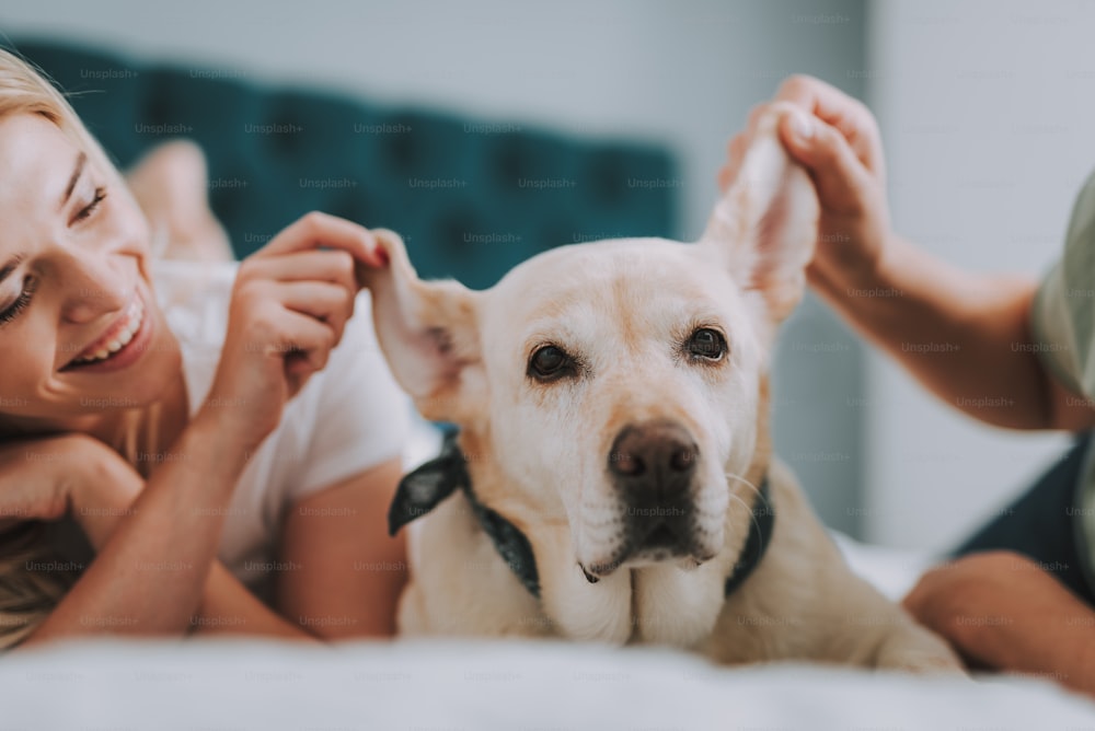 Mujer joven positiva acostada en la cama mientras sostiene la oreja de su perro