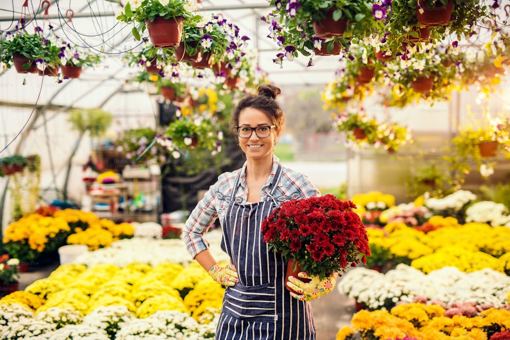 Portrait of beautiful Caucasian smiling florist holding pot with flowers while standing in greenhouse.