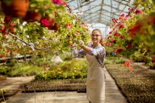Pretty young woman working with spring flowers in the greenhouse