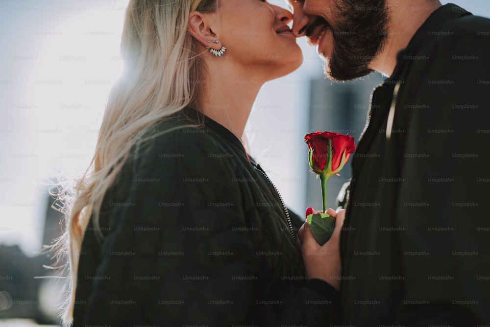 Cropped close up portrait of young lady holding beautiful flower and kissing her boyfriend in nose while he smiling