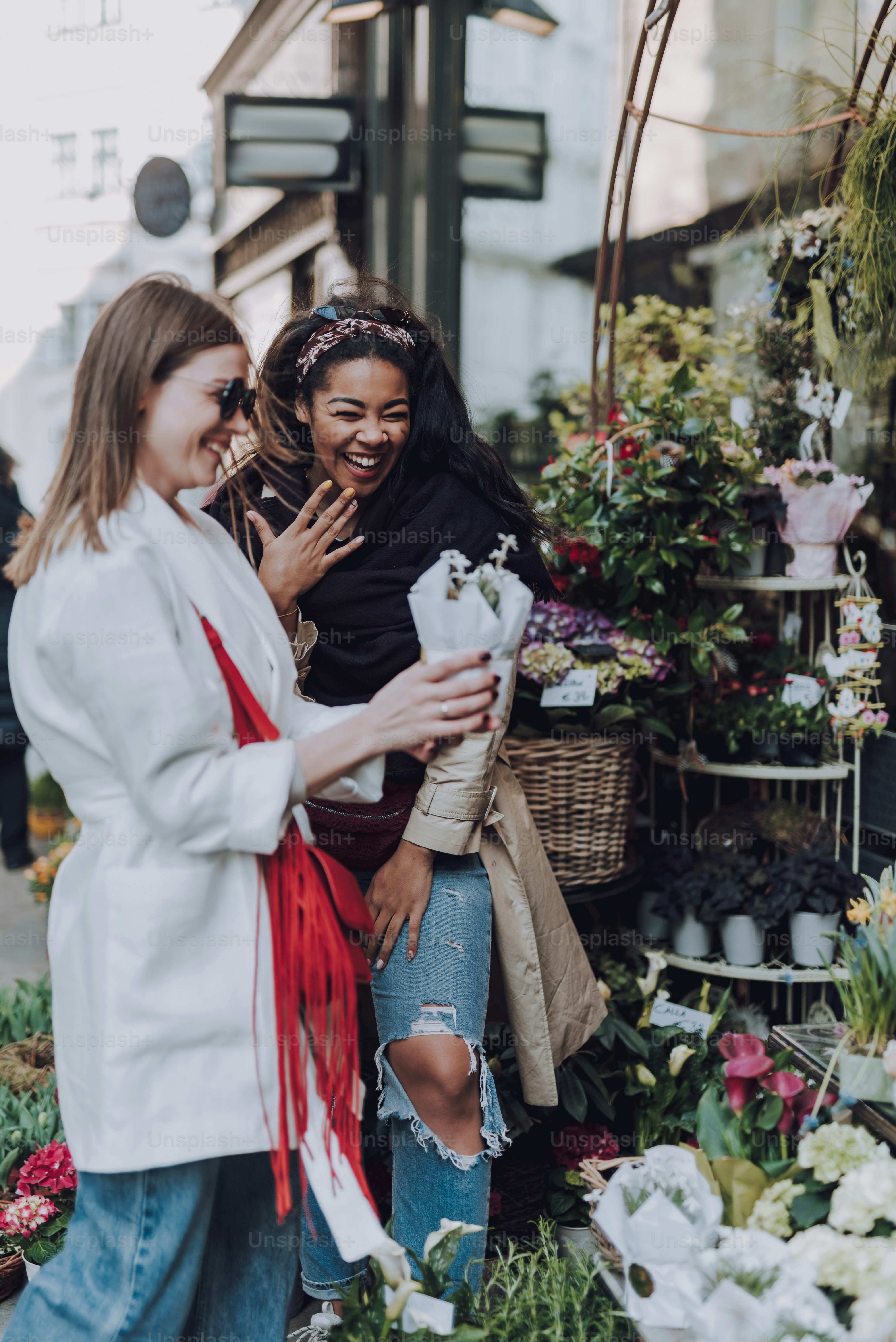 Beautiful afro american lady laughing while her lovely friend in sunglasses holding houseplant