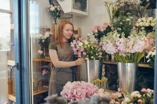 Content beautiful young redhead flower shop worker in apron standing in flower refrigerator and checking flowers in metal bucket