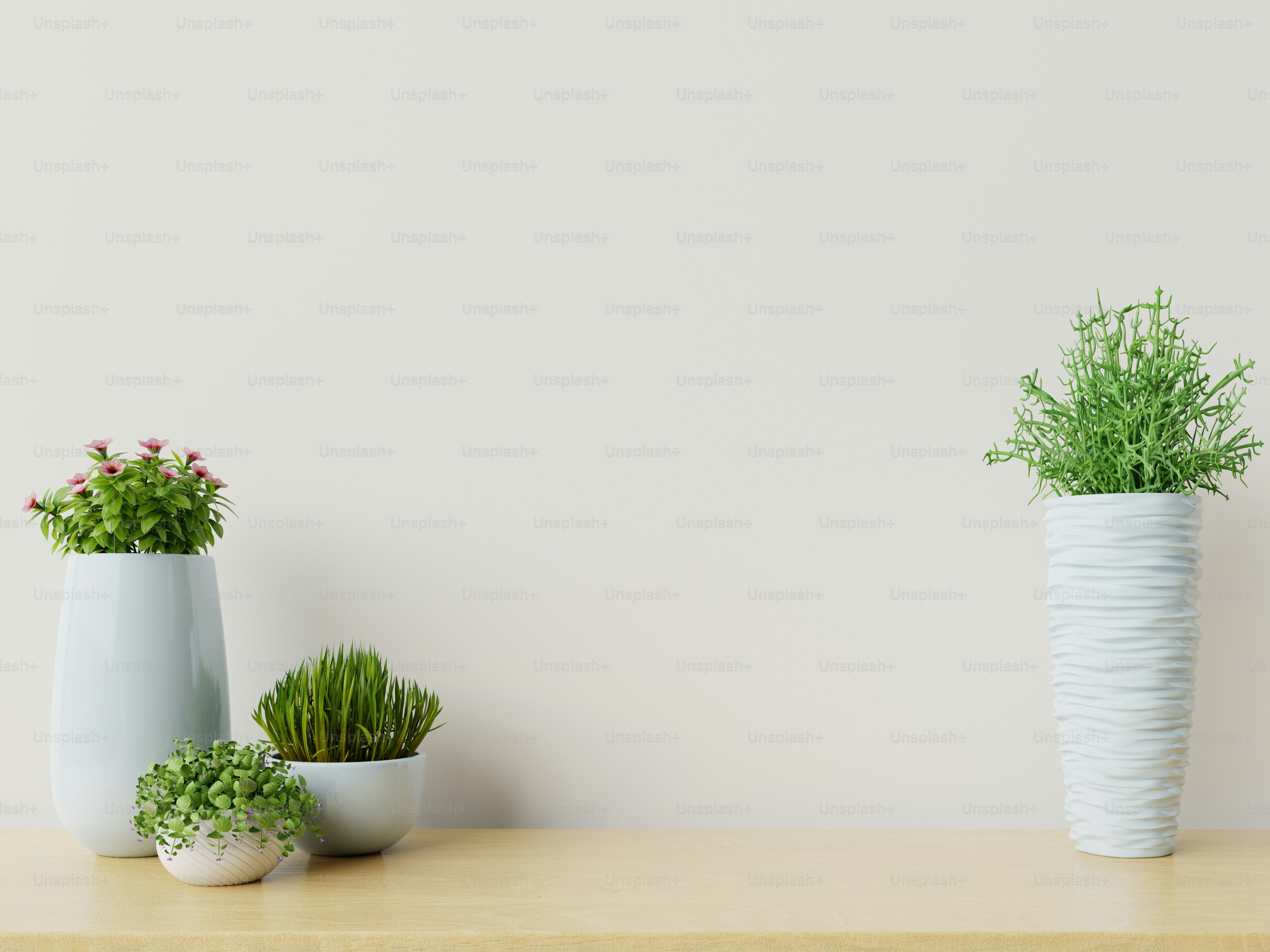 Empty room with plants mockup have wooden floor,3D rendering