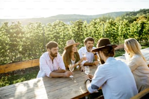 Grupo de jovens bebendo vinho e conversando enquanto se sentam à mesa de jantar ao ar livre no vinhedo em uma noite ensolarada